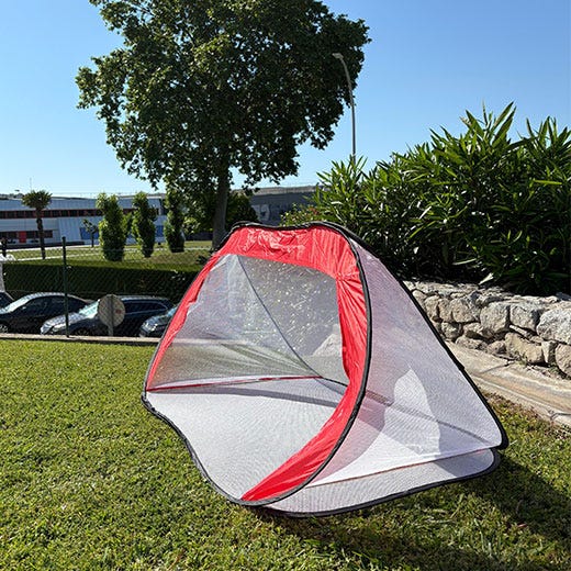 Vista 2